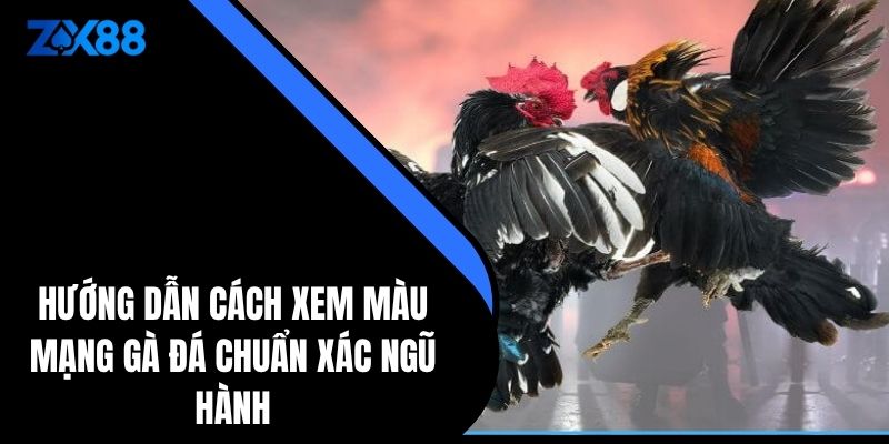 Hướng Dẫn Cách Xem Màu Mạng Gà Đá Chuẩn Xác Ngũ Hành